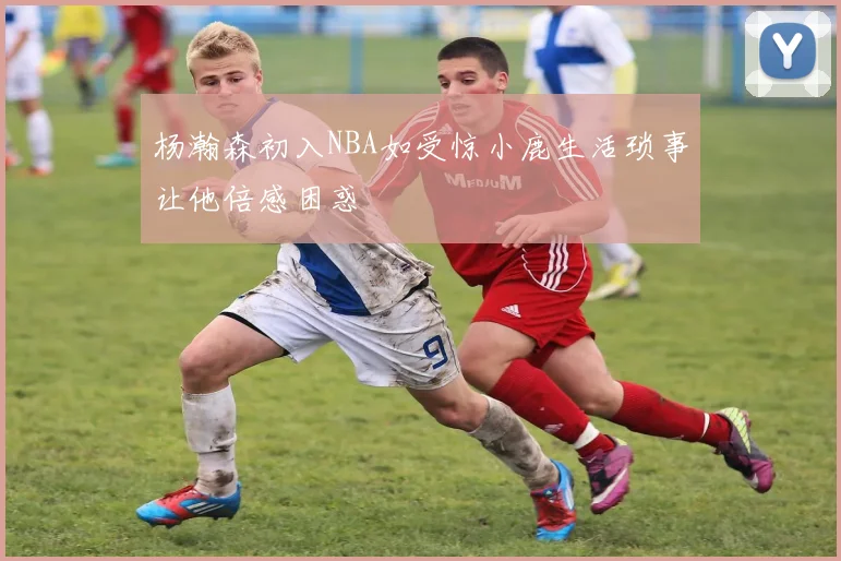 杨瀚森初入NBA如受惊小鹿生活琐事让他倍感困惑