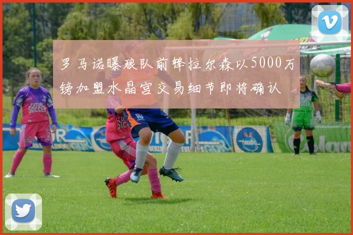 罗马诺曝狼队前锋拉尔森以5000万镑加盟水晶宫交易细节即将确认