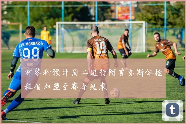 津琴科预计周二进行阿贾克斯体检租借加盟至赛季结束