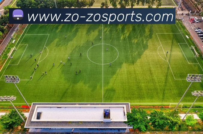 中欧体育平台生态图